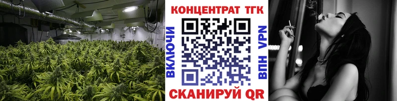 где найти наркотики  Всеволожск  ТГК Wax 