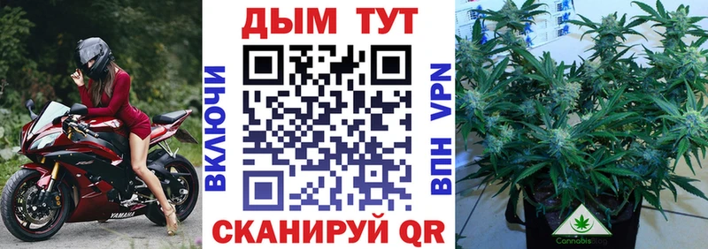 МАРИХУАНА SATIVA & INDICA Всеволожск
